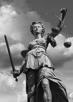 Broad & Expert Legal Knowledge